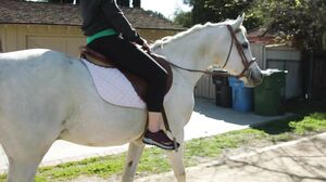 Nina North - Pretty Little Sluts