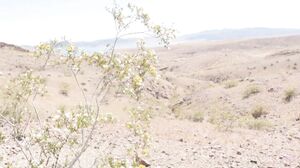 Molly Pills - Gorgeous Girlfriend Fantasy Slut POV CREA