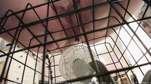 emersoncane February-19-2021 03-58-12 @ Chaturbate WebC