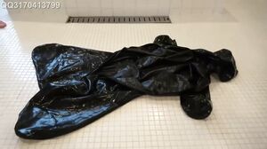 MiraiDouga - Rubber Dog Water Blame Close Call