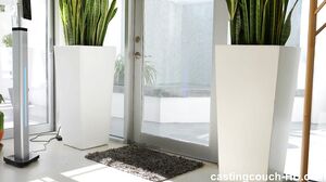 Ava - She Was Ready To Go