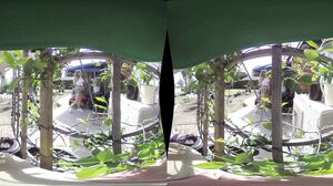 Pristine Edge - Peeping Tom in HD