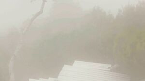 Silvie classic beauty