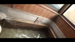 Plump busty mature woman