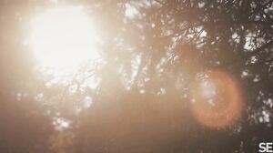 Roxy Risingstar Morning Glow