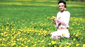 Katie meadow of flowers