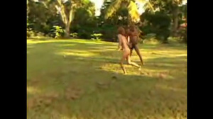 Slender Latina Gets Her Anus Stretched