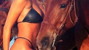 TinaSutra 2 – The Art of Love (2021)