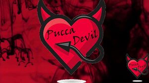 TGirl Luana Prado - Ladies in black: I gave and ate my trans