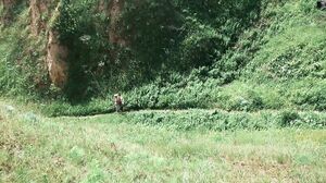 Errotica-Archives - Aislin Expedition