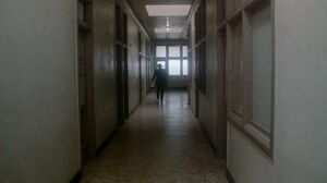 Dixie Ray Hollywood Star 1983