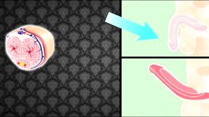 SweetyX - Sex Tape With Lilith Part 2 in HD