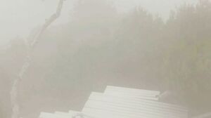 X-ART - Classic Beauty