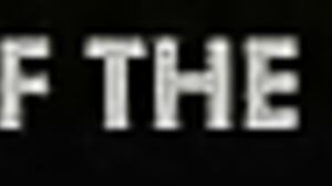 X-ART - Spur of the Moment - Ivy