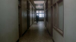 Dixie Ray Hollywood Star 1983 2