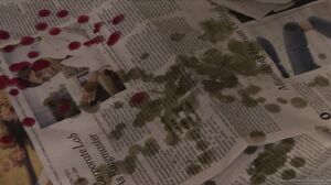 Lesbian Beauties 5 - Mature Women Sc03