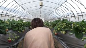 504TNNN-003 JAV Full Movie