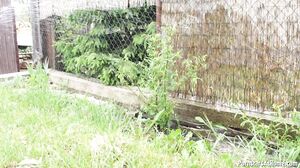 PornstarsAtHome 333. Rachel Evans Girls Just Wanna Ha