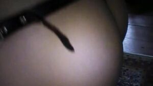 Brazilian Hotwife Adventures