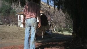 Annette Haven - Among The Greatest Porn Films Ever Made