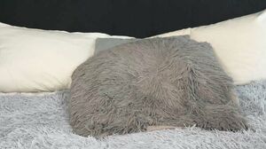 hotbella_ July-24-2021 20-55-38 @ Chaturbate WebCam