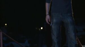 Jessie Andrews - Love Blossoms Sc5