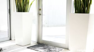 Beautiful blonde tries anal with a bbc