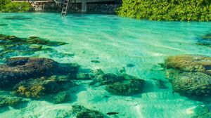 Petite Ebony Teen Tea Shows Her Oral Skills With a BBC