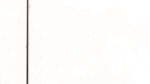 SouthernSins - Stevie Green Bound Hairy Beauty