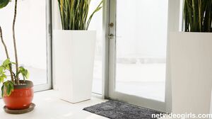 Stella - Multiple Orgasms