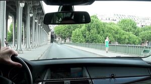 WCX - Rose Delight 2