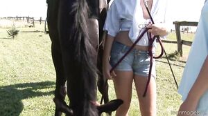 Teenmodels - Girls Horse Playing Around(Blond Cat, Yasm