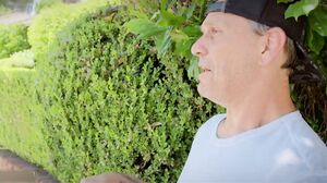 Dee Williams - Dee's Cum Addiction