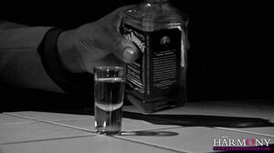 HarmonyVision - Lexi Lowe