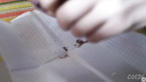 Samanta During Positivus Music Festival Using a Huge Di