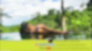 Movie Seat Down And Watch N 2