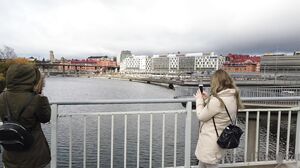 MissPussyCat - Bella Tion and Mia