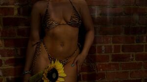 Vivian Grace Returns With Balls Deep Anal