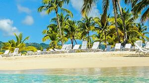 Kelly Oliveira - Anal and DAP, 5On1 With NoPussy Drinking SZ2734