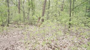 Outdoors My Ass - Scene 1