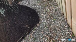 Evelin Stone - Sugar House