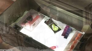 Olive Glass - Penthouse's Toy Box 1