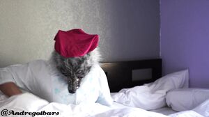 Andy Savage - THE BIG BAD WOLF & RED RIDING HOOD