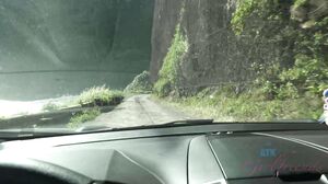 You try to take Brooke for a hike but she just wants c