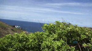 You Fuck Lola Outside and Cum in Her Pussy at Home