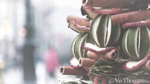 Jessika Night Shona River Festive Fun