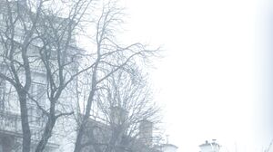 Rebecca Volpetti Marilyn Sugar Wet Morning