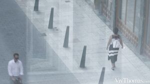 Sara Bell Blue Angel Morning Glory