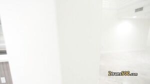 Black guy fucks busty shemale milf