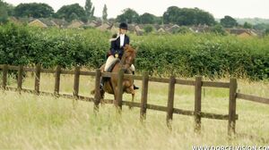 La Cavaliere Horsewoman The Horse Rider